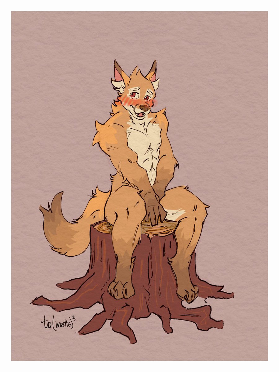 Volpe - [vol • peh] tweet media