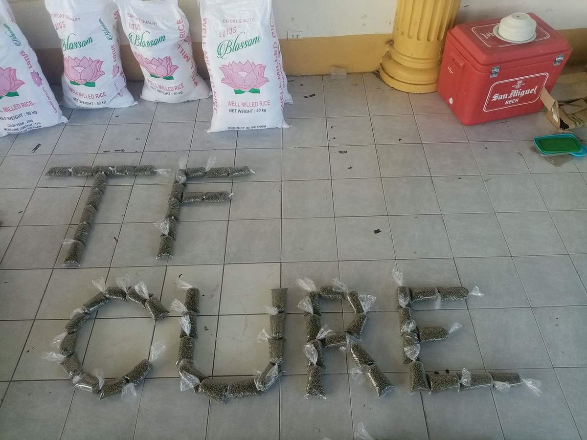 stpbuplb's tweet photo. Tagumpay ang ating relief packs distribution!
Mula sa #ProyekTulong ng @upcells ay nakapagbigay tayo ng relief packs sa mga residente ng Sitio Pagkakaisa. Ang ating mga relief packs ay naglalaman ng kalabasa, munggo, at bigas.
#TaskForceCURE #COVID19Relief https://t.co/RN99IvSEt7