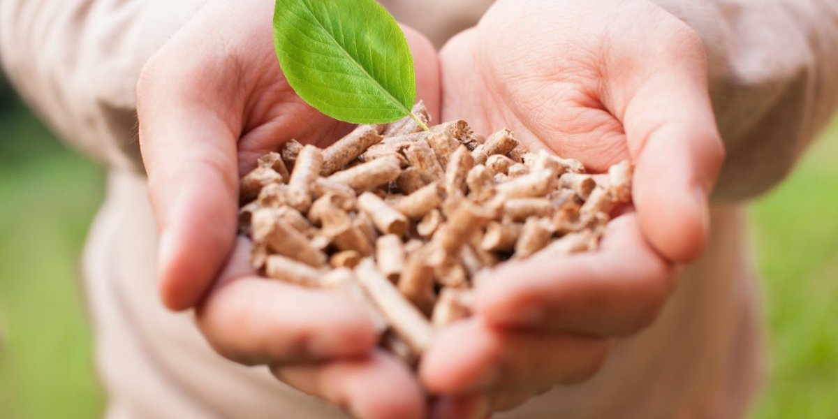 La #reduccióndelIVA para el #pélet de madera y otros #biocombustibles, nos situaría en igualdad con respecto a otros países de nuestro entorno; y potenciaría la #bioeconomíaforestal 👌