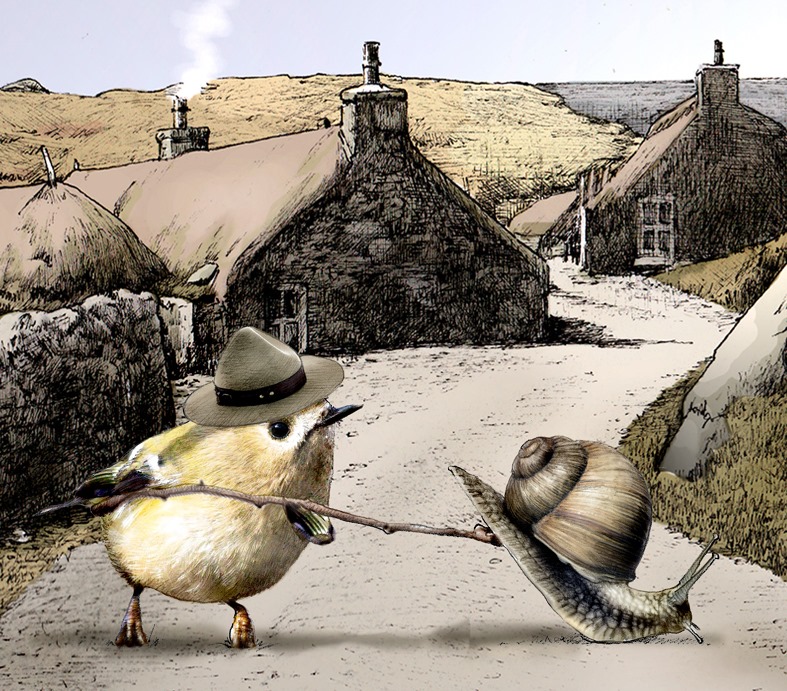 Brian Hughes tweet media