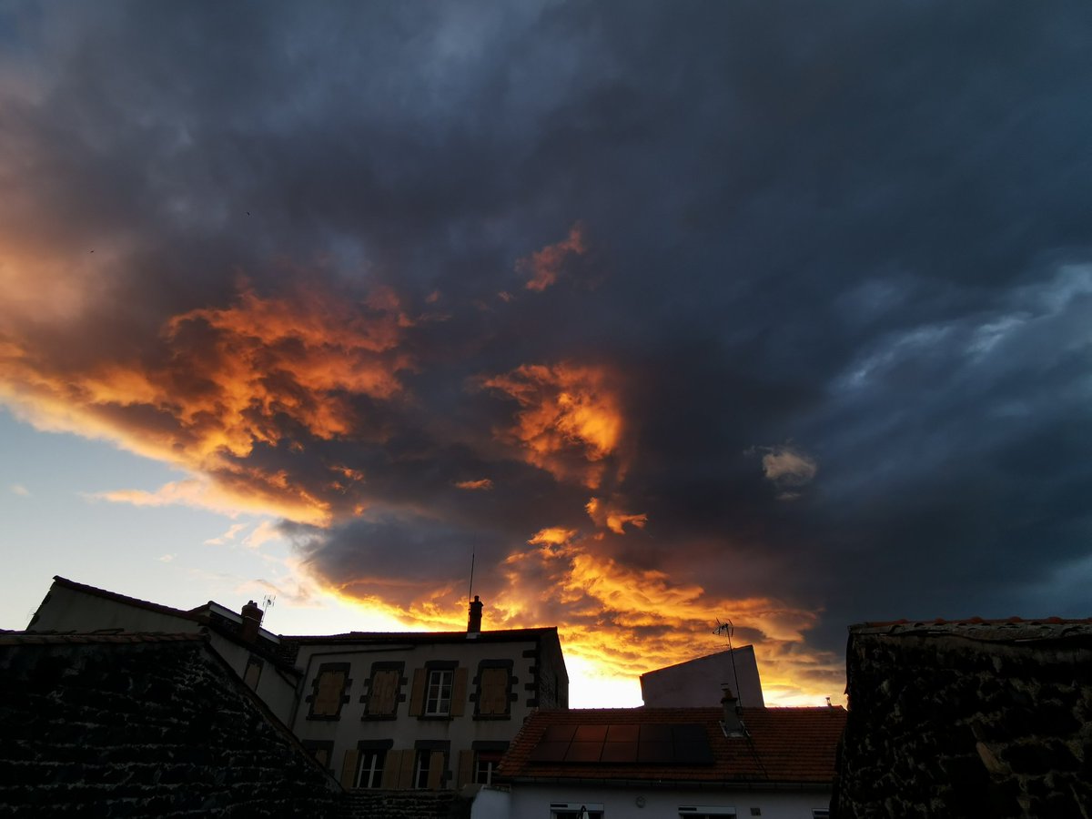 L'algue hasard tweet media