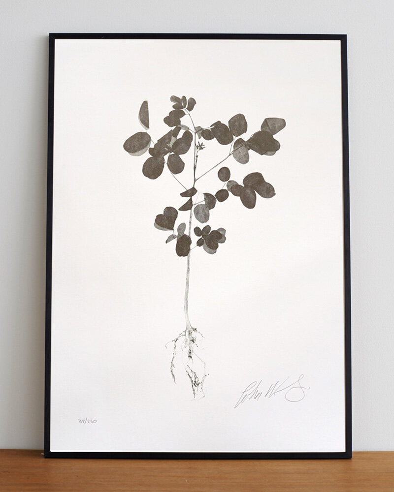 'Miracle Tree' screen print by John Newling
​
​We’re selling this print on behalf artist as part of #artistsupportpledge Once we have reached £1000 of sales Newling will purchase another artists work.

beameditions.uk/bookshop/mirac…