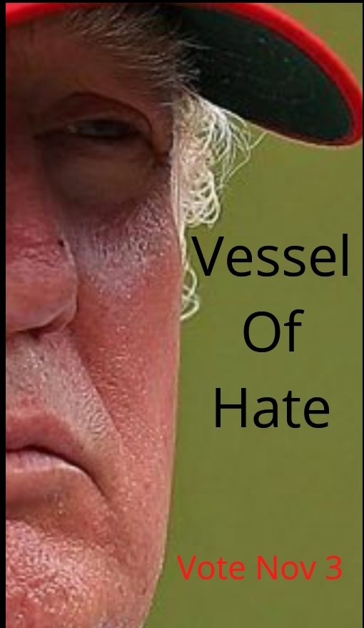 Yeah no its the same 3 lil redneck boats there everytime (they even tried making the boats look bigger). And ive seen a trump flag on one before but they only fly one small one, peacefully, so nobodys had an issue. But ima start showing people this thread. 