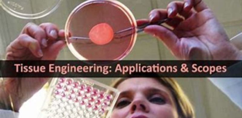 Le mardi 15 Décembre 2020, aura lieu la journée conférence TISSUE ENGINEERING FOR INDUSTRY organisé par Adebiotech au parc #Biocitech à #Romainville
Pour plus d'info 👉 bit.ly/2UVfF6V