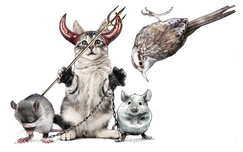 Brian Hughes tweet media