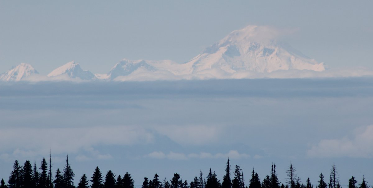 PureTraveller's tweet photo. #Top4Theme #Top4Viewpoints in uncrowded S. Cent. Alaska.
The view from
↖ the Sterling Hwy 1 of Mt. Iliamna/Lake Clark NP&P
↗ Homer across Kachemak Bay
↙ the Seward Hwy 1, s. of Anchorage
↘ the beach near Hope out to Turnagain Arm
@Giselleinmotion @Touchse @CharlesMcCool https://t.co/QRFSXHgrgI