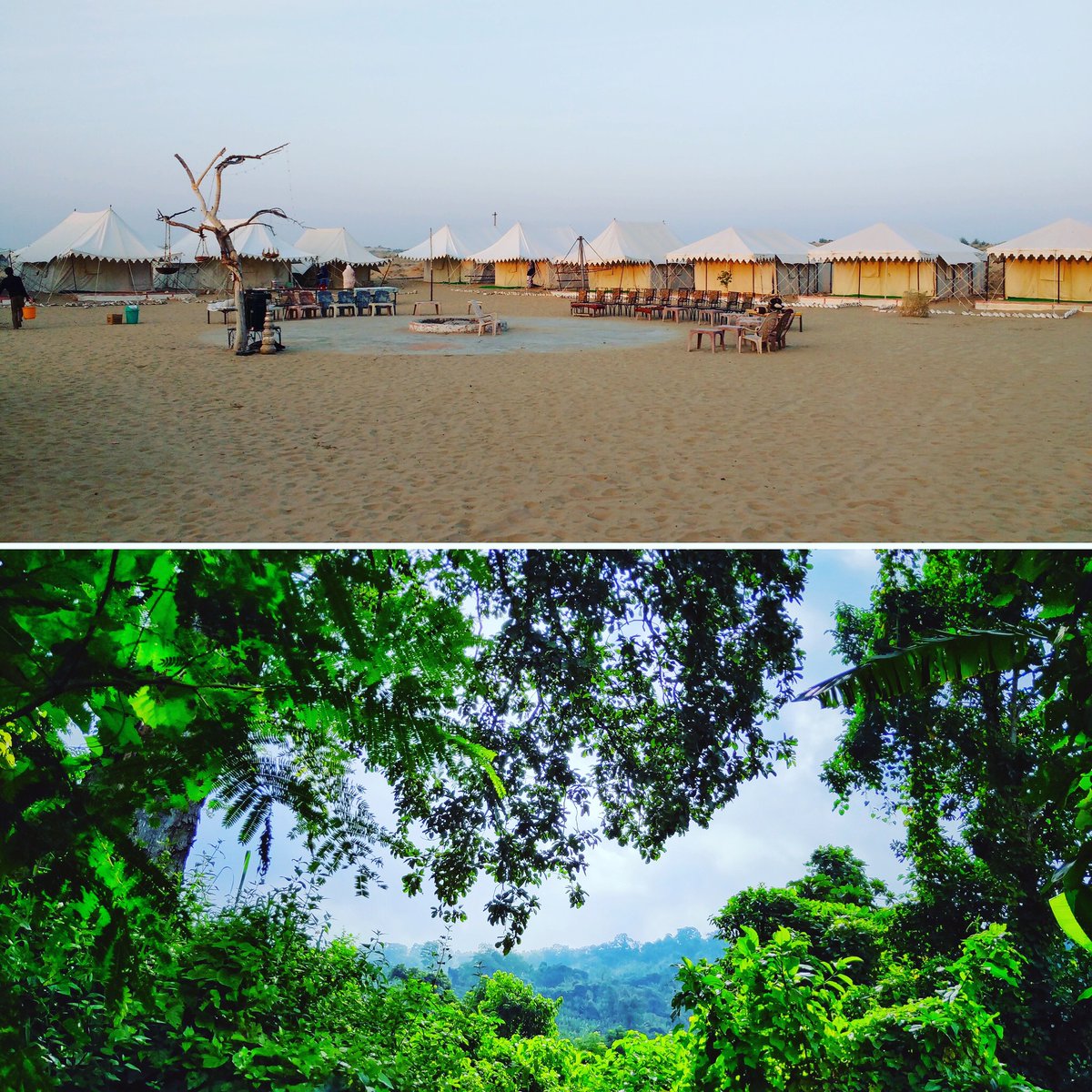 From one extreme to another – filming desert and rainforest may seem impossible in one territory, but India has it all… 

Photos: Sourav Debnath and 
Sourabh Nilakhe
