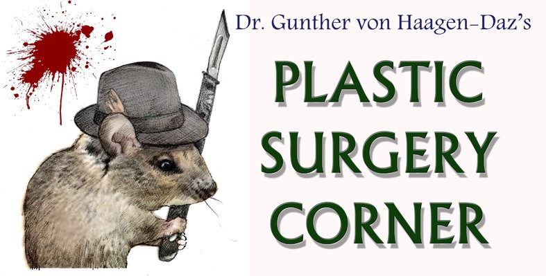 Brian Hughes tweet media