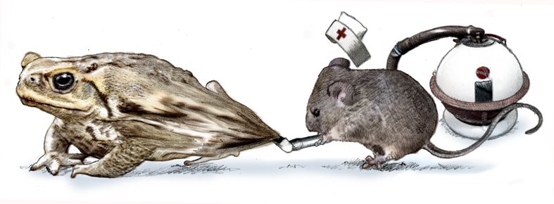 Brian Hughes tweet media