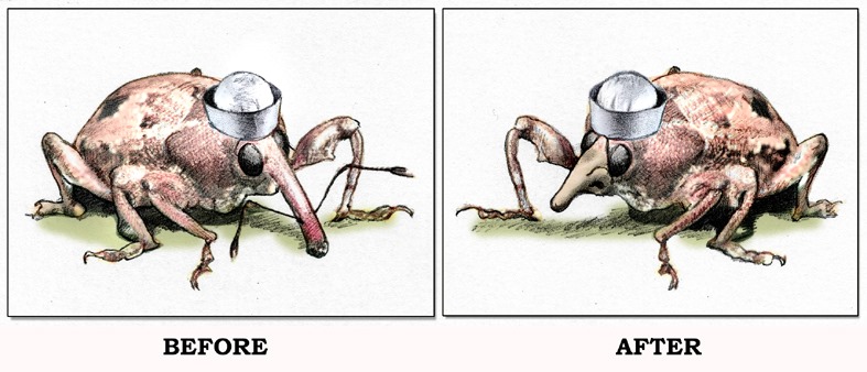 Brian Hughes tweet media