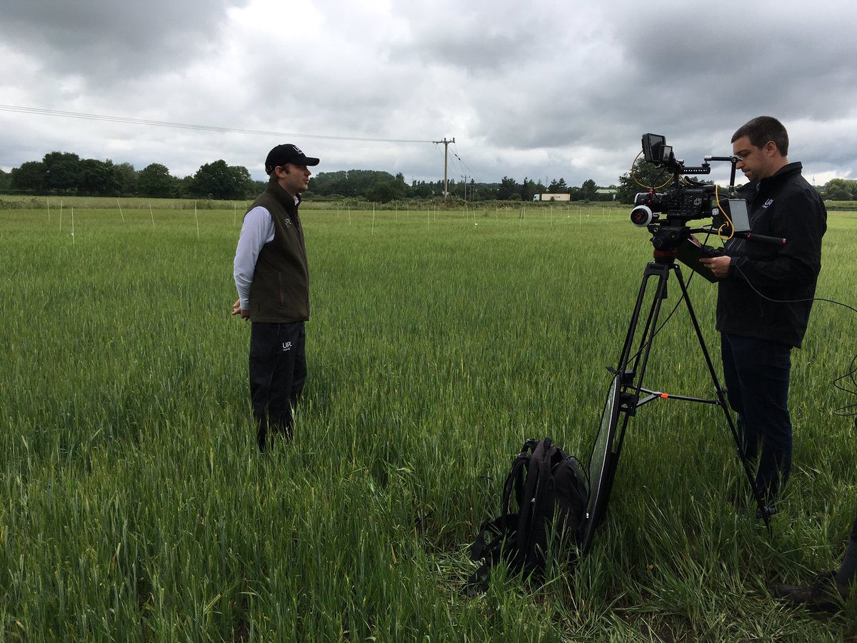 This morning we are filming on location at a spring barley trial to support the future launch of a new S.U. Herbicide for use in spring and winter cereals. Let’s hope the weather is kind to us today.