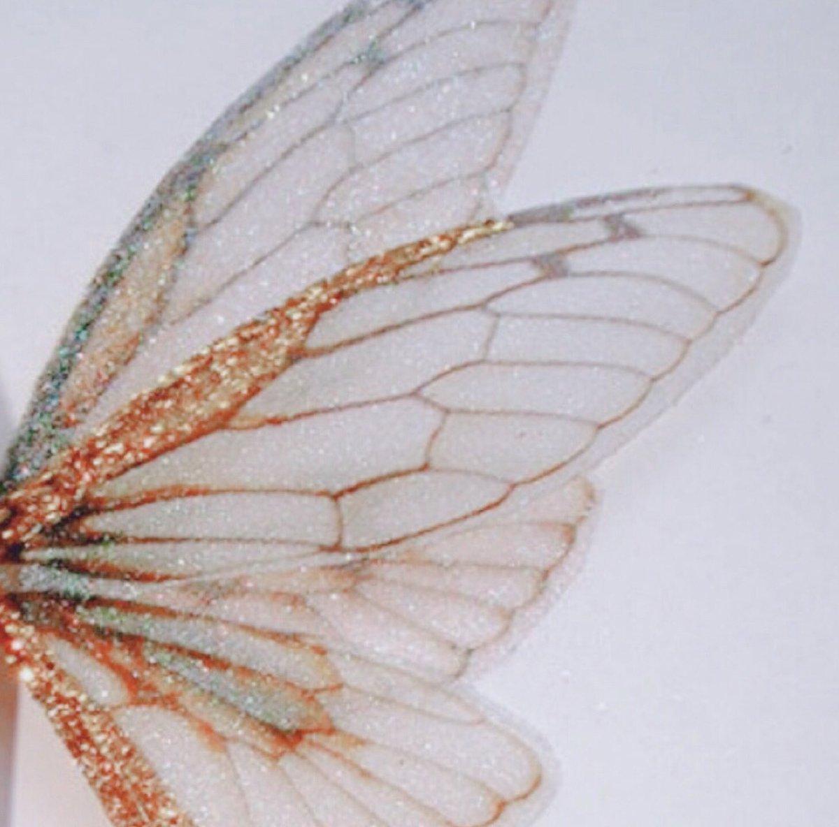 tiny__chans's tweet image. fairy chan 🧚🏼‍♂️ #방찬