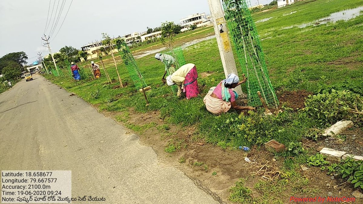 ManthaniMc's tweet photo. Green Friday observed in mANTHANI muncipality https://t.co/GHPQzjN7fA