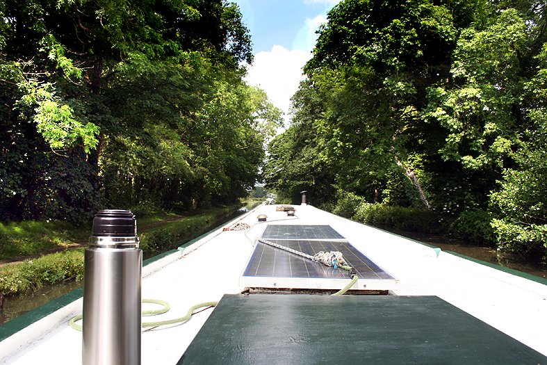 Brian Hughes tweet media