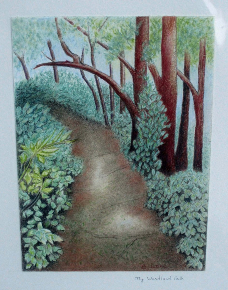 BonnieLouLane's tweet photo. Fine Art Drawing of a Path in the Woods - Price Reduction - FREE SHIPPING https://t.co/95jK3BPaU1 #TMTinsta #fineartforsale #EtsyTeamUNITY #Handmade #CountryPath https://t.co/93kZKqwOmq