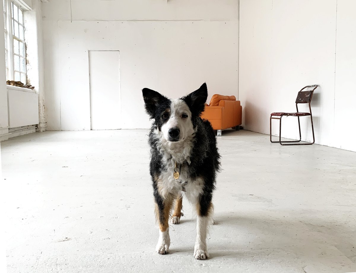 Large artists' studio with natural light available on Ashwin Street, Dalston. £1111pcm Email studioenquiries@v22collection.com to view.