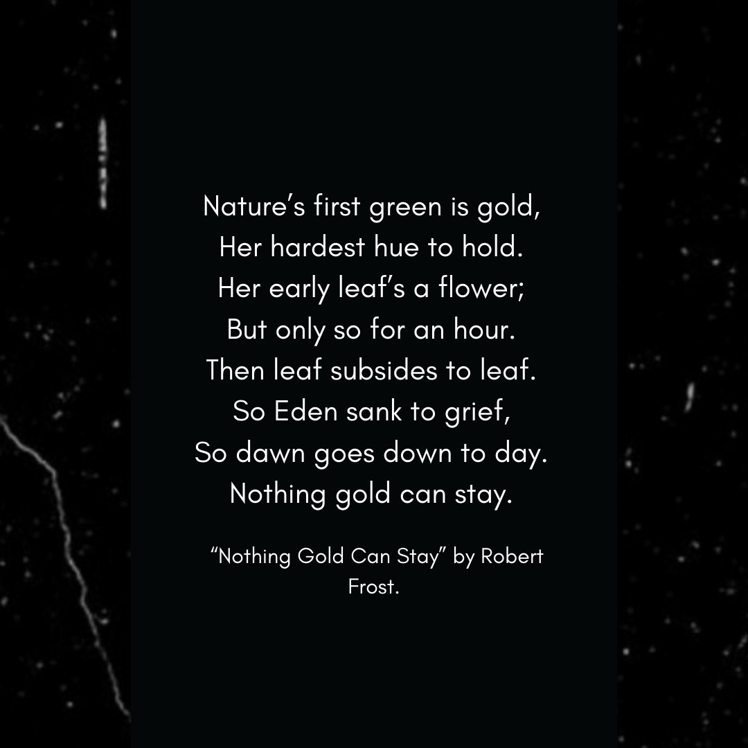 Robert Frost's "Nothing Gold Can Stay" a short poem that focuses on the concept of blossoming, of potentials met, & of the inevitable downfall or decay of these. But what is the relation to this poem &  #StayGold by  #BTS  ?See the below to find more.  #StayGold_BTS  @BTS_twt