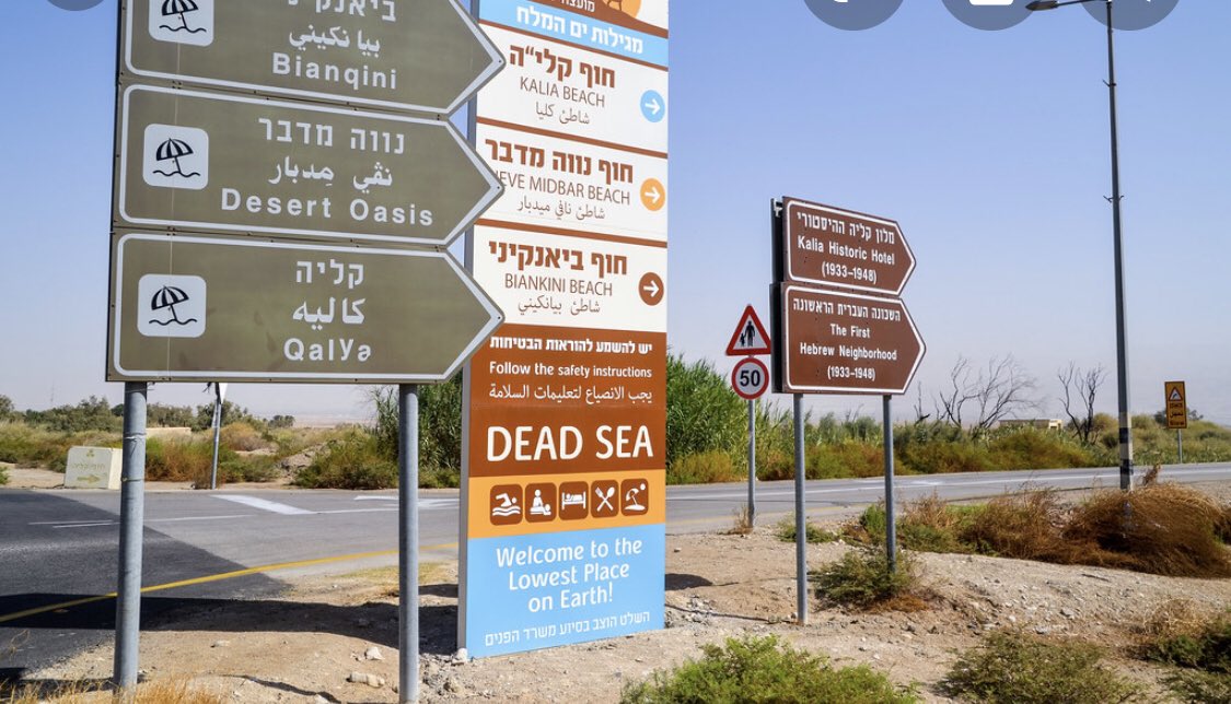3/ When I was 19, I tried to visit Kalia Beach on the northern shore of the Dead Sea. Although it’s in the WB and 15 mins away, these beaches are owned/run by Israelis. They “should” be open to us. But I was immediately racially profiled and denied entry because I am Palestinian.