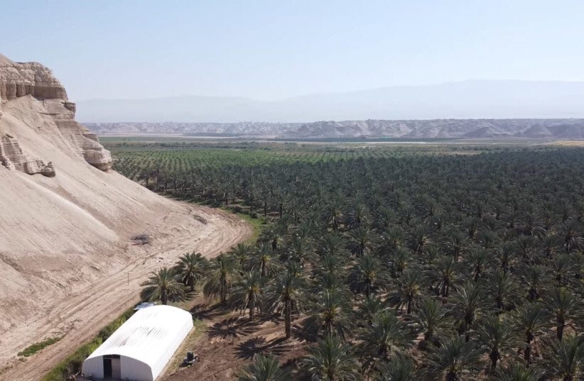 10/ A short drive will show you lush and green Israeli settlement farms next brown and barren Palestinian farms who can’t access their water source because an Israeli pump diverts it to the settlements. To stay alive, these farmers go work on settlements farms.
