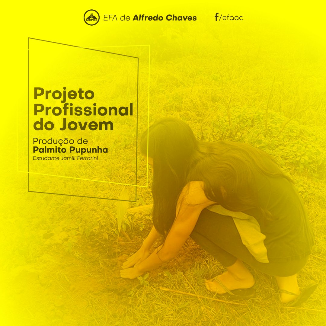 MepesOrg's tweet photo. O Projeto Profissional da Jovem Jamili Ferrarini “Produção de Palmito Pupunha (Bactris gasipaes)” segue a premissa de experimentar (ousar) e coloca em prática técnicas que garantem a produção racional.

#mepes #alfredochaves #efaac #ppj #palmito #palmitopupunha https://t.co/1YJWO76PIg