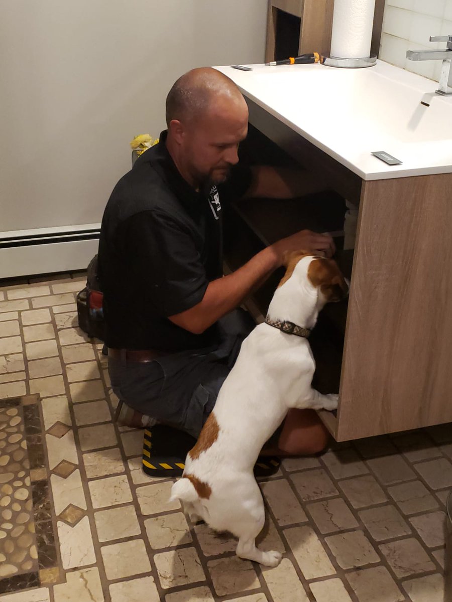 langskitchens's tweet photo. Supervisor Sophie takes a paws on approach to every project! Today she is on the job helping Larry from Gallelli Plumbing to install a faucet. #supervisorSophie #mysupervisor #dogsrule #dogsofbuckscounty #buckscountydogs https://t.co/rIwYlYtS70