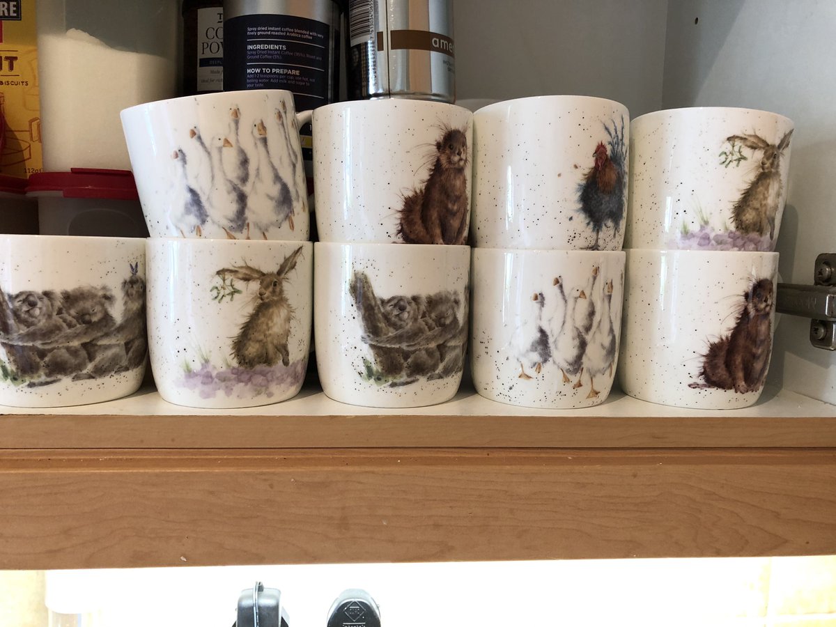 FionaFloyd's tweet photo. Thank you @byportmeirion my Wrendale mugs arrived safely and exactly when you told me they would, via  @DPDgroup_news very happy! All washed and in the cupboard now! #LockdownClearout #PoshTeaAndCoffeeTime https://t.co/FnhhqAYMOW