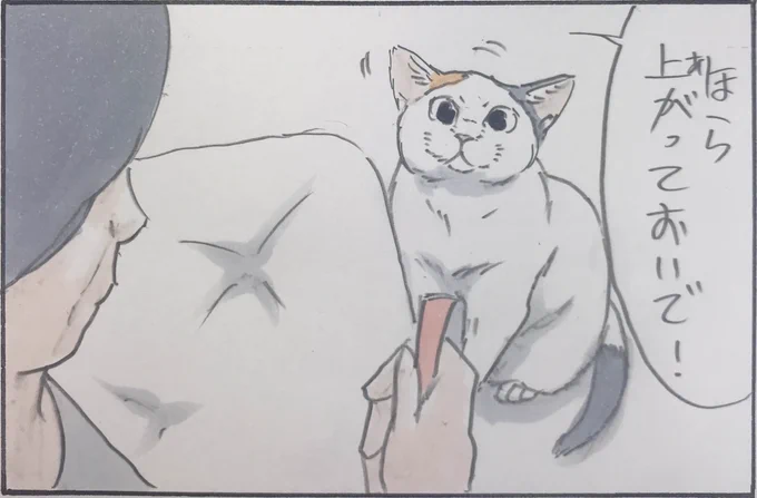 『一瞬じらすモチャ』 