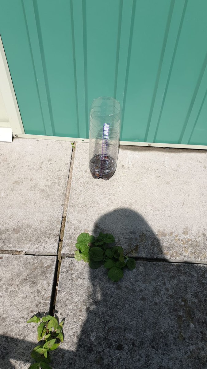 YnysowenPrimary's tweet image. Another busy week for Year 6 pupils -completing home learning tasks linked to the Weather. Da iawn pawb!! #homelearning2020