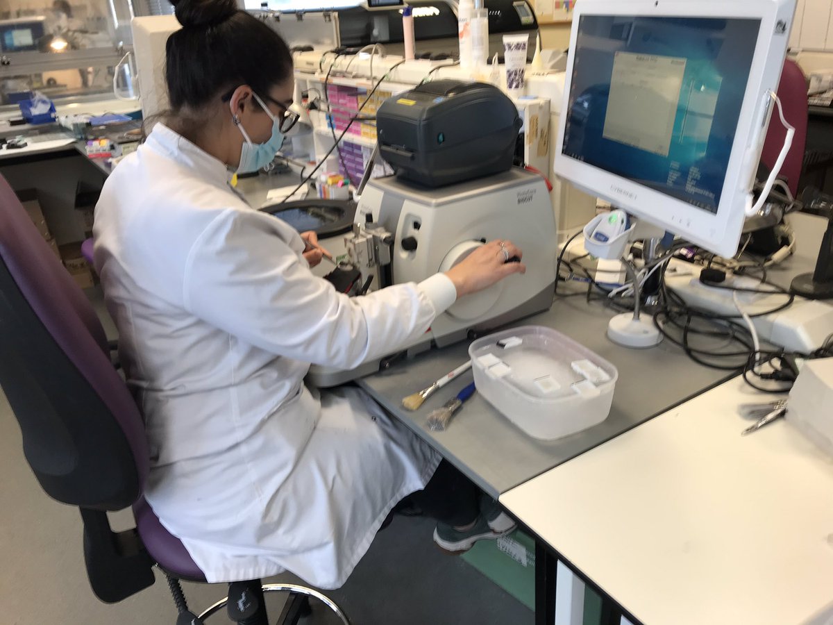 CellularRDE's tweet photo. Our new Biocut in action, now everyone’s favourite microtome! #Leica #Histology https://t.co/5RJZlgqCxb