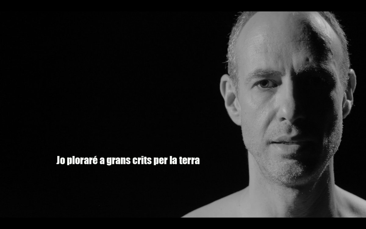 #Xàtiva renaix de les seues cendres
##Xàtiva renace de sus cenizas