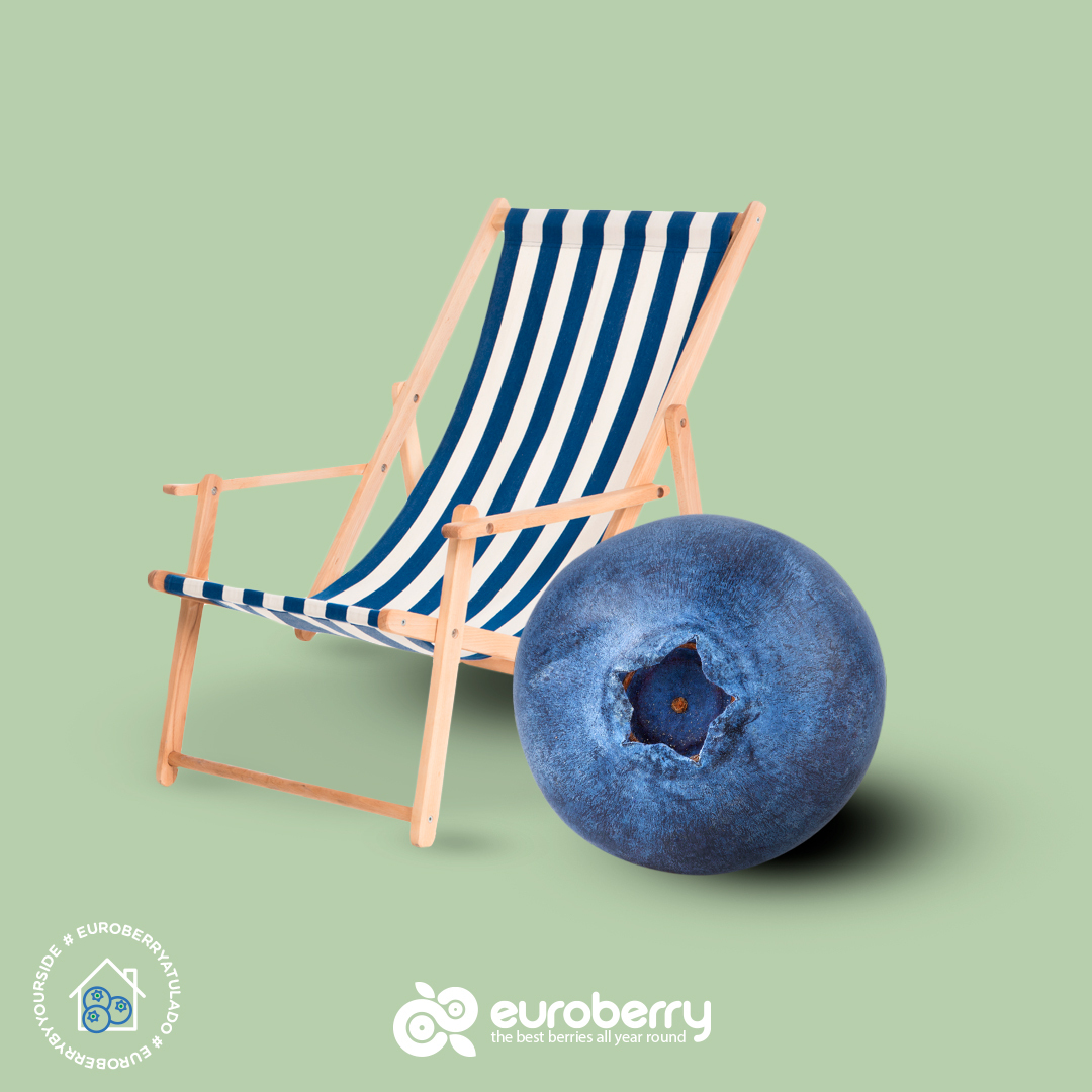 EuroberryES's tweet photo. Nuestros arándanos ya están en mood verano y no es para menos ☀ ¡están en plena temporada! ¡disfrútalos! 😋🔝 https://t.co/queXCRgQds