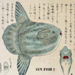 main image of this resource