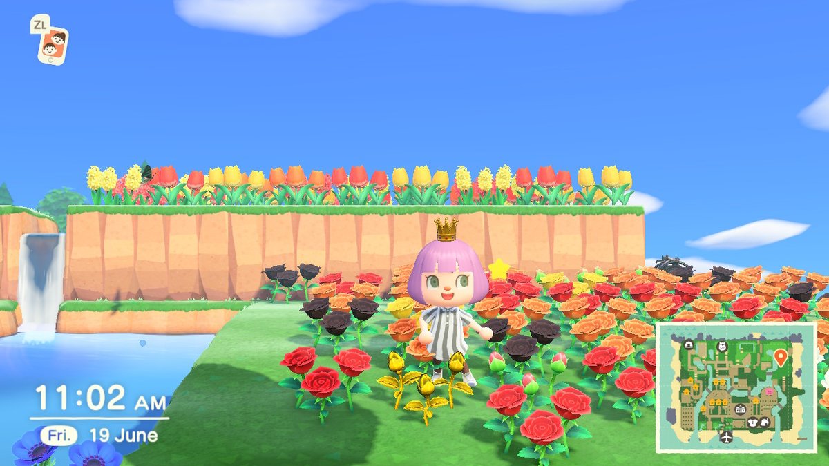 Emiz's tweet photo. #AnimalCrossing #ACNH #NintendoSwitch https://t.co/Ip2bRY6vLB