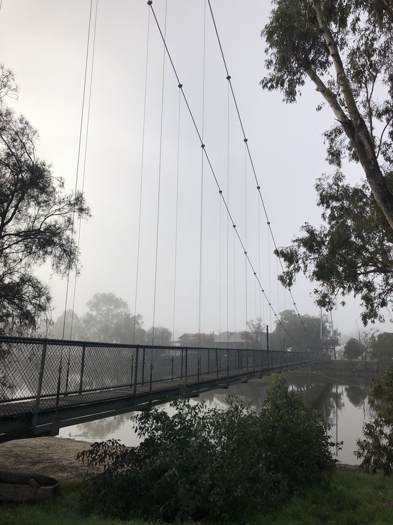 #northam suspension bridge during this mornings #winterfog #traveltribe #bloggerlife #westernaustralia