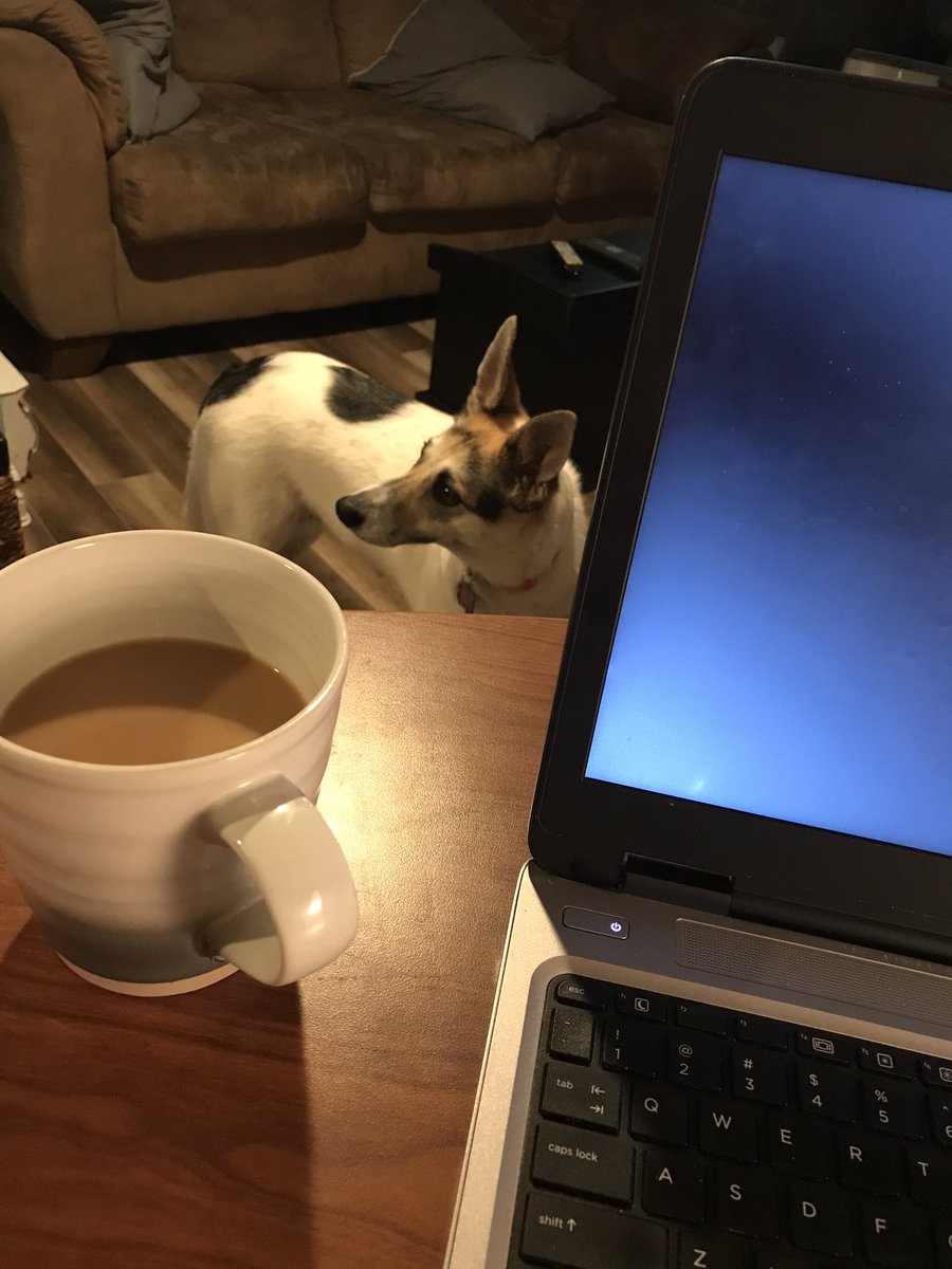 Easy commute this morning to the home office. Got here early; my coworker is telling me today could be the hottest day on record. Stay hydrated folks!