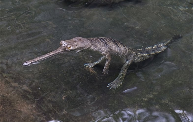 [Fin!!] (@afinnedscience) on Twitter photo 