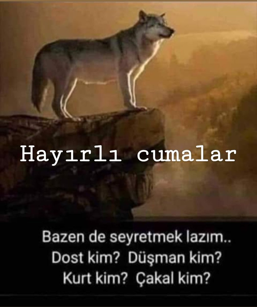 💛💛💛💙💙💙🇹🇷mustafa66🇹🇷💛💛💛💙💙💙 (@mustafa46094816) on Twitter photo 