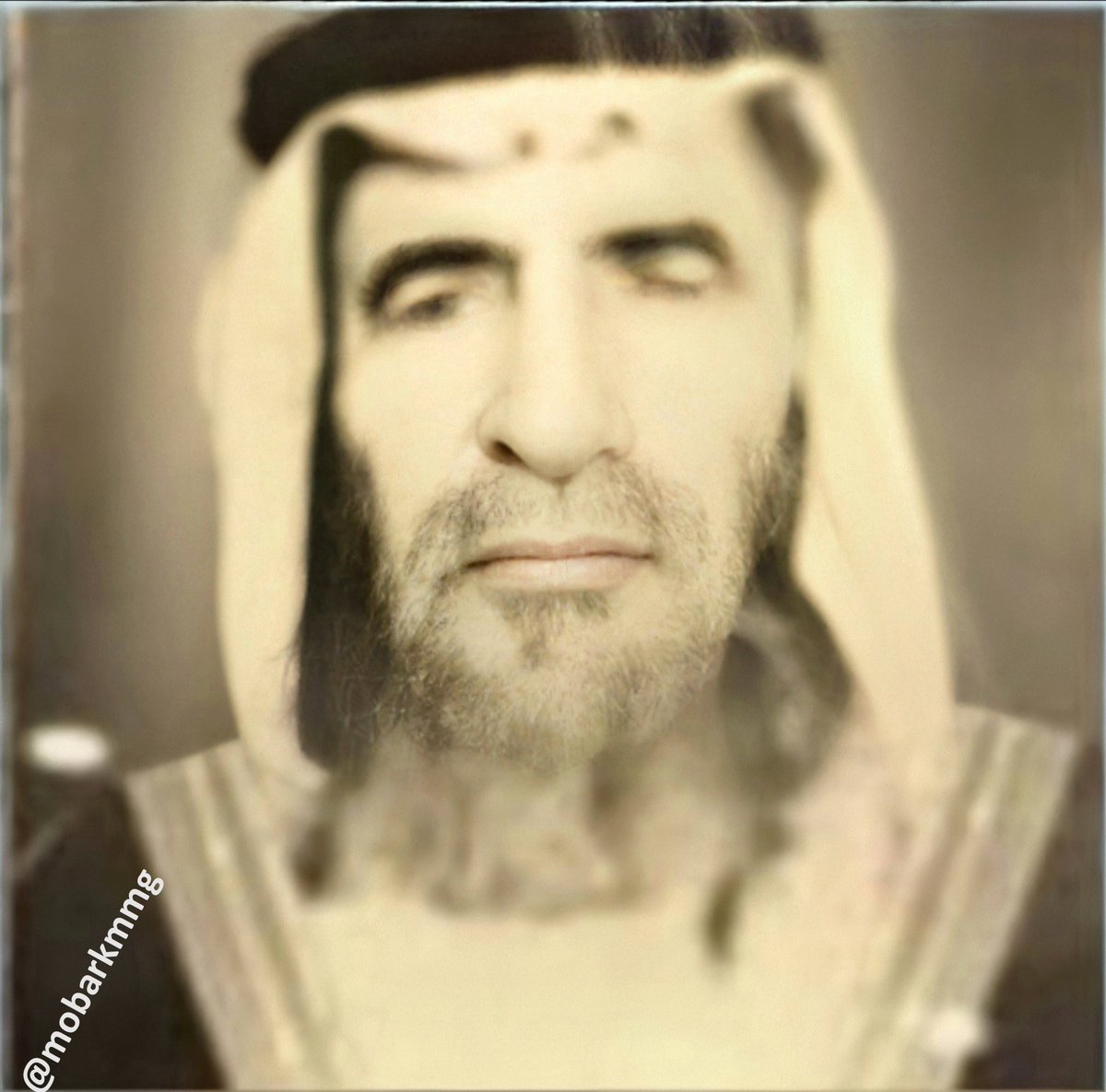 Ⓜ مبارك الجميلي العتيبي tweet media