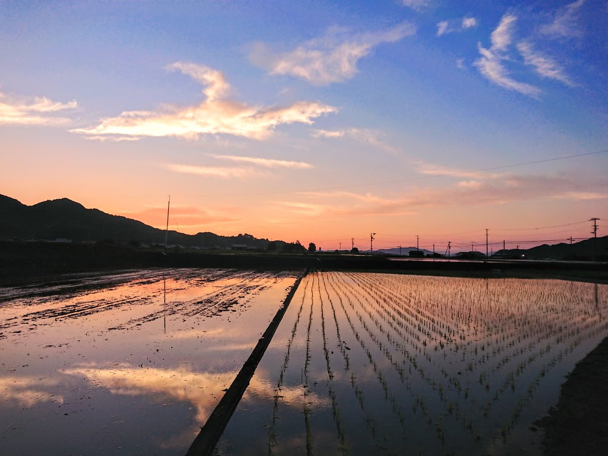 5BOEeFccf0qFfTk's tweet photo. #いまそら #空 #sky #雲 #cloud
#夕焼け #sunset #鏡面 #MirrorSurface #自然 #natural
#カメラ #写真 #photo #キリトリセカイ #ファインダー越しの私の世界 #カメラ好きな人と繫がりたい #写真で奏でる私の世界 #photographer #Photoshoot https://t.co/RWwS8iVWa4