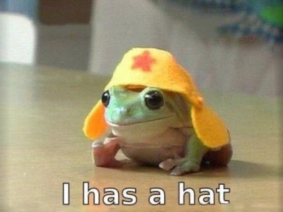 frog in his rain hat