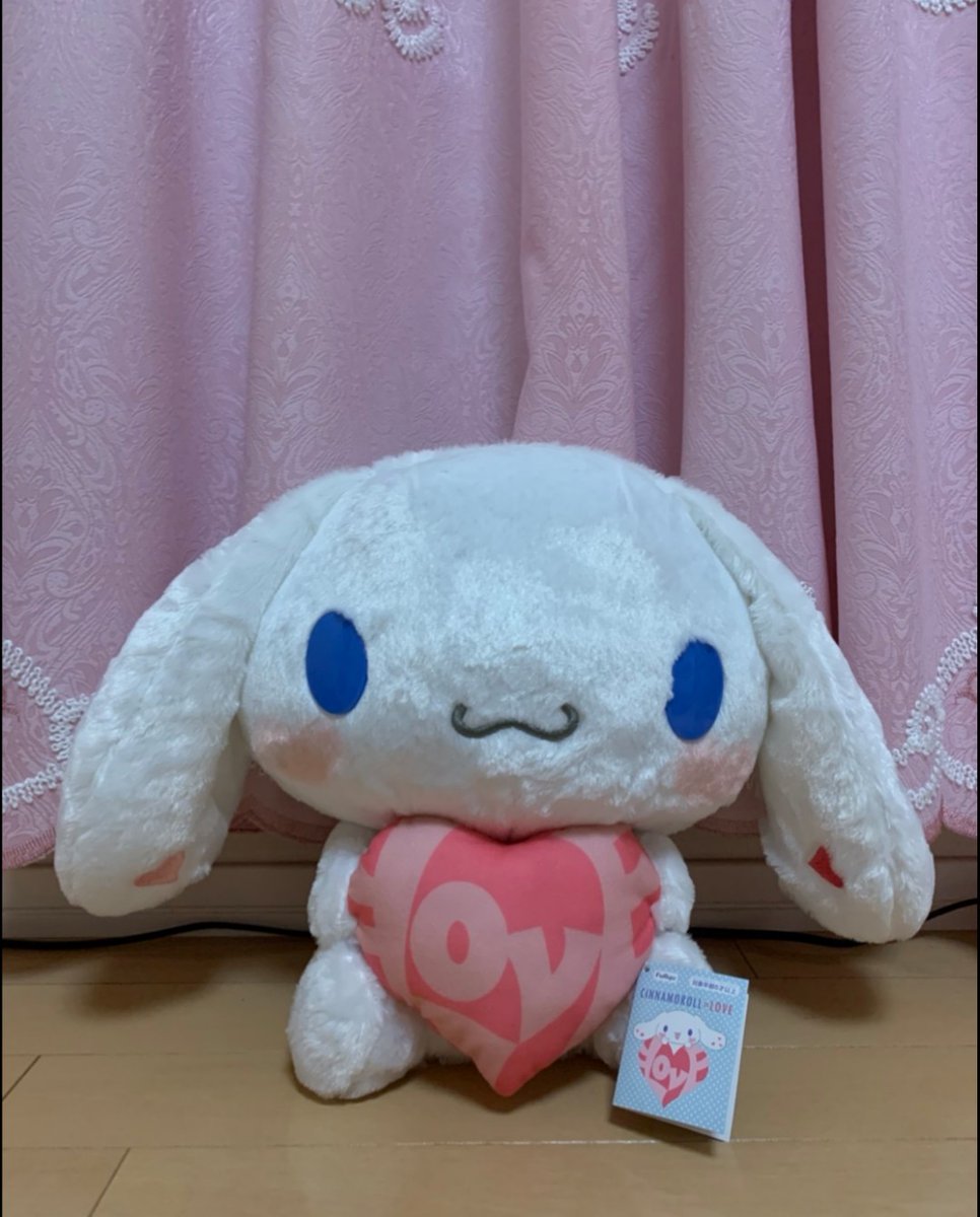 昨日ゲーセンに行ってとってプレゼントしたんだけども
けっこう苦労してしまって３０分くらいの死闘とお金を持っていかれてしまった笑
にしても定員もある程度金を出させた後にアシストしやがって商売上手だなぁーって思った笑
 喜んでもらえたからよかったけどね！笑
#シナモロール 
#イコラブ