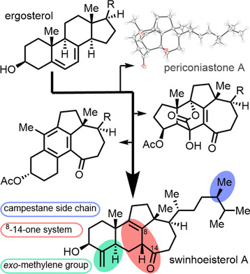 ChemEurJ's tweet photo. Check out the latest article by @HeretschPhilipp and co-workers! Discoveries and challenges en route to swinhoeisterol A @FU_Berlin https://t.co/wye9kZ19g7 https://t.co/3OCY2Bvp23