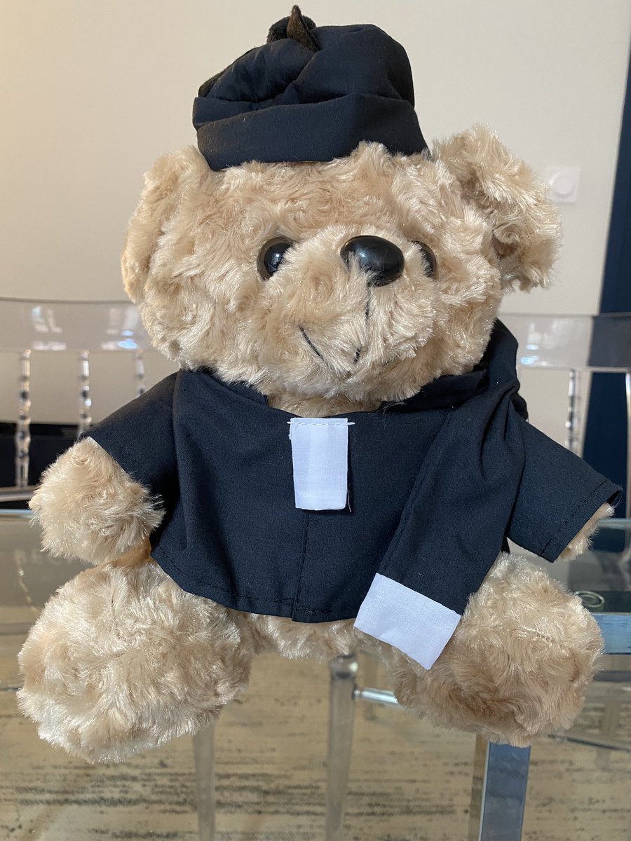 fernandezavocat's tweet photo. Bien arrivée! Nouvelle mascotte du cabinet ! #ponsard&amp;dumas 🙏🏻 https://t.co/H6EZEgKPtI