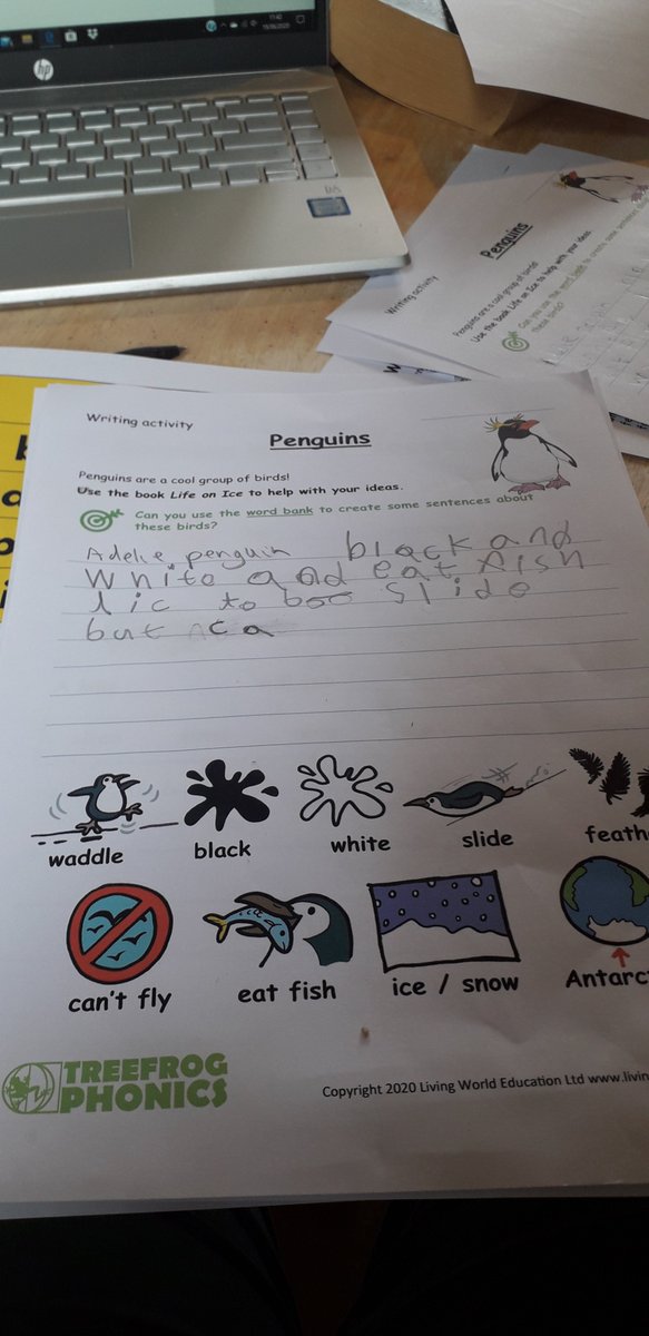 karastrong6's tweet photo. Treefrog phonics https://t.co/xO1lkijsWR