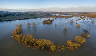The Farming Recovery Fund - Support for Farmers Affected by Exceptional Flooding. 

Now open for applications until 1 September 2020 for damage between 15 and 29 February 2020. Find out more at bit.ly/37P1vJV

#farmingrecoveryfund #flooding #grant #professionaladvice