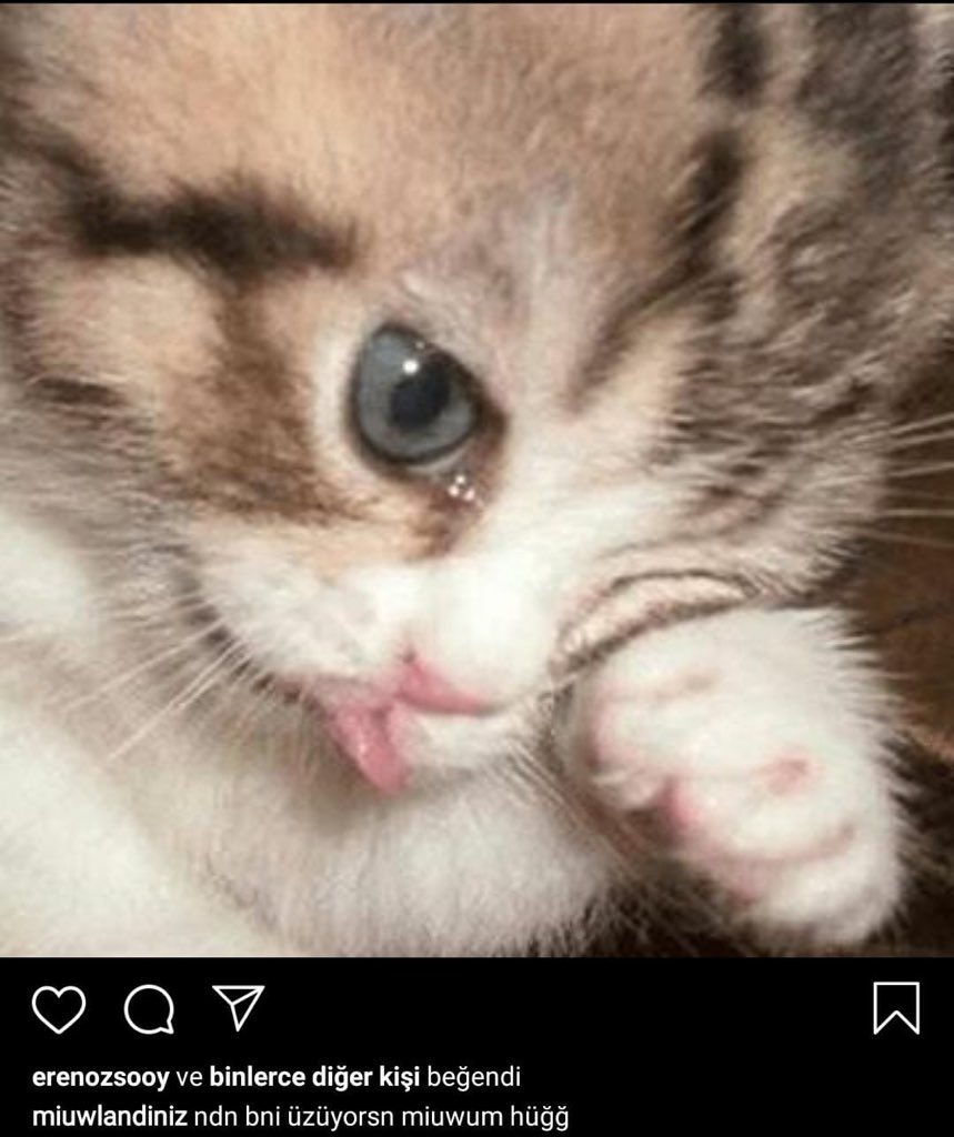 Üzdün bizi minik gıdak