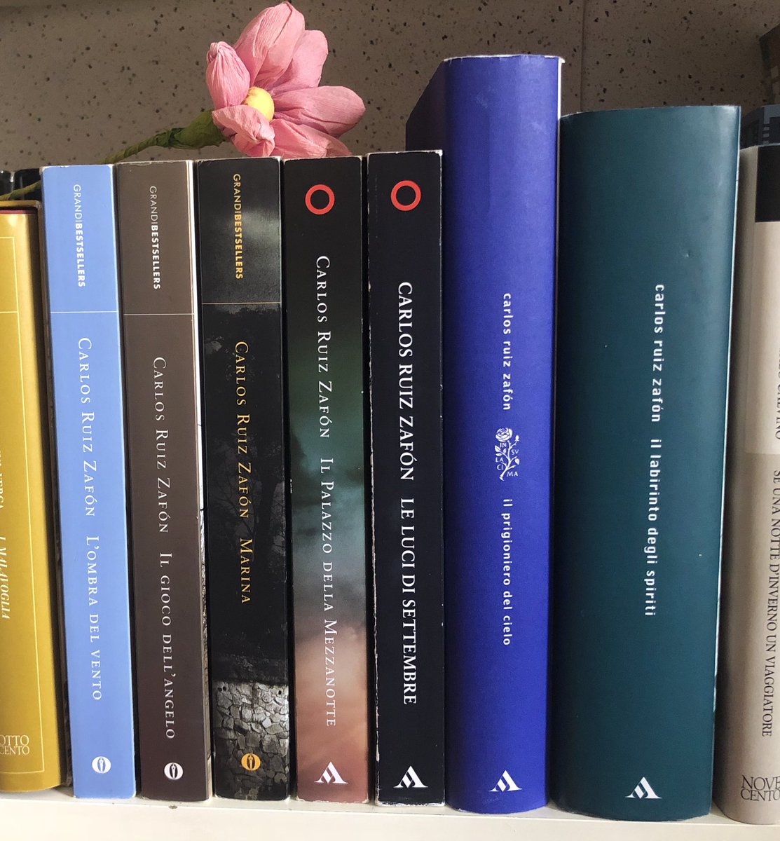 Chiara Micale tweet media