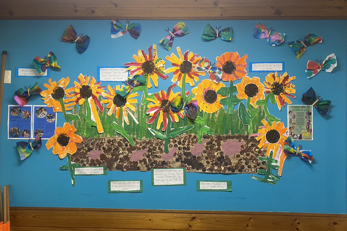 Amalie Anderson tweet media