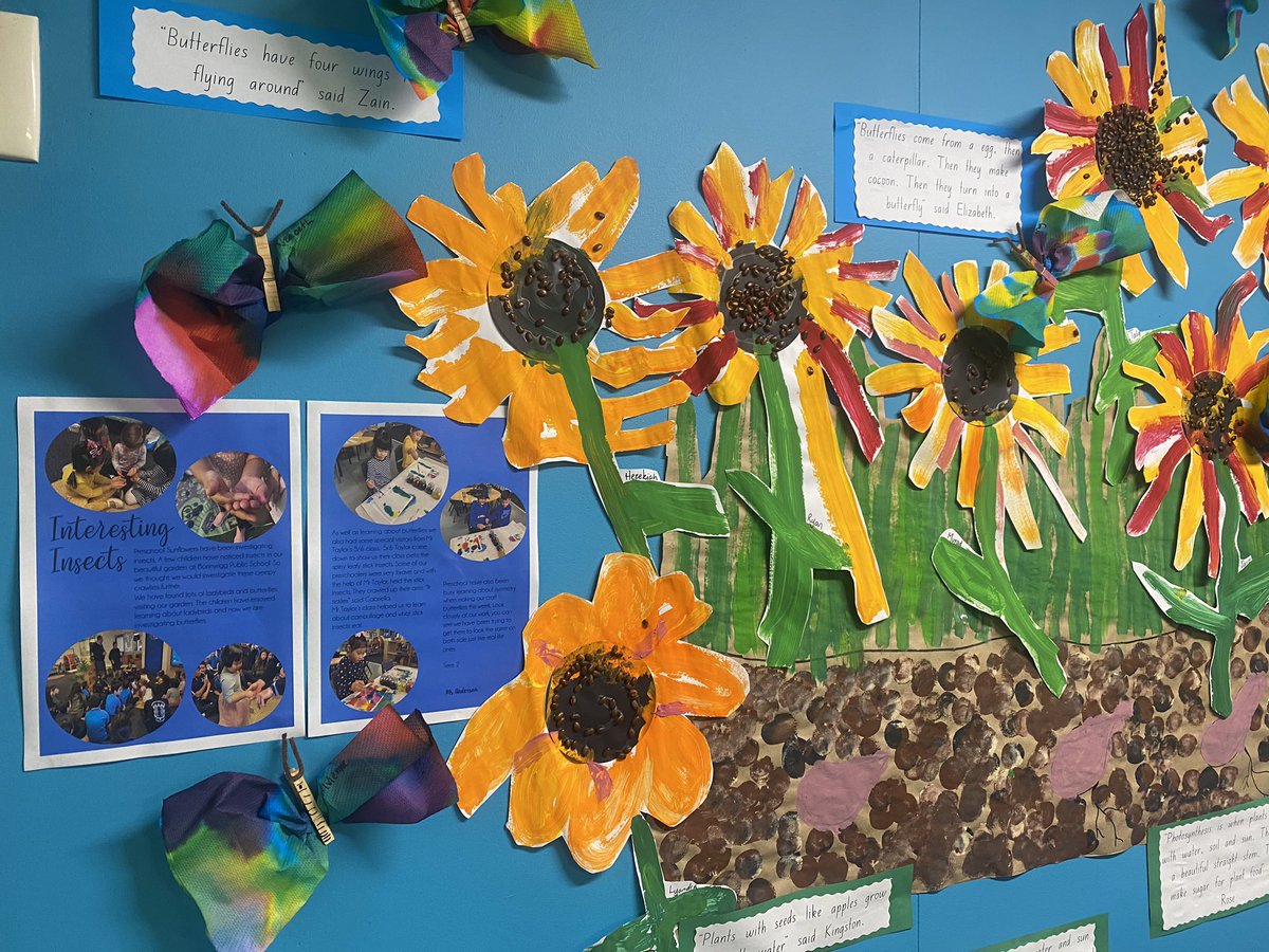 Amalie Anderson tweet media