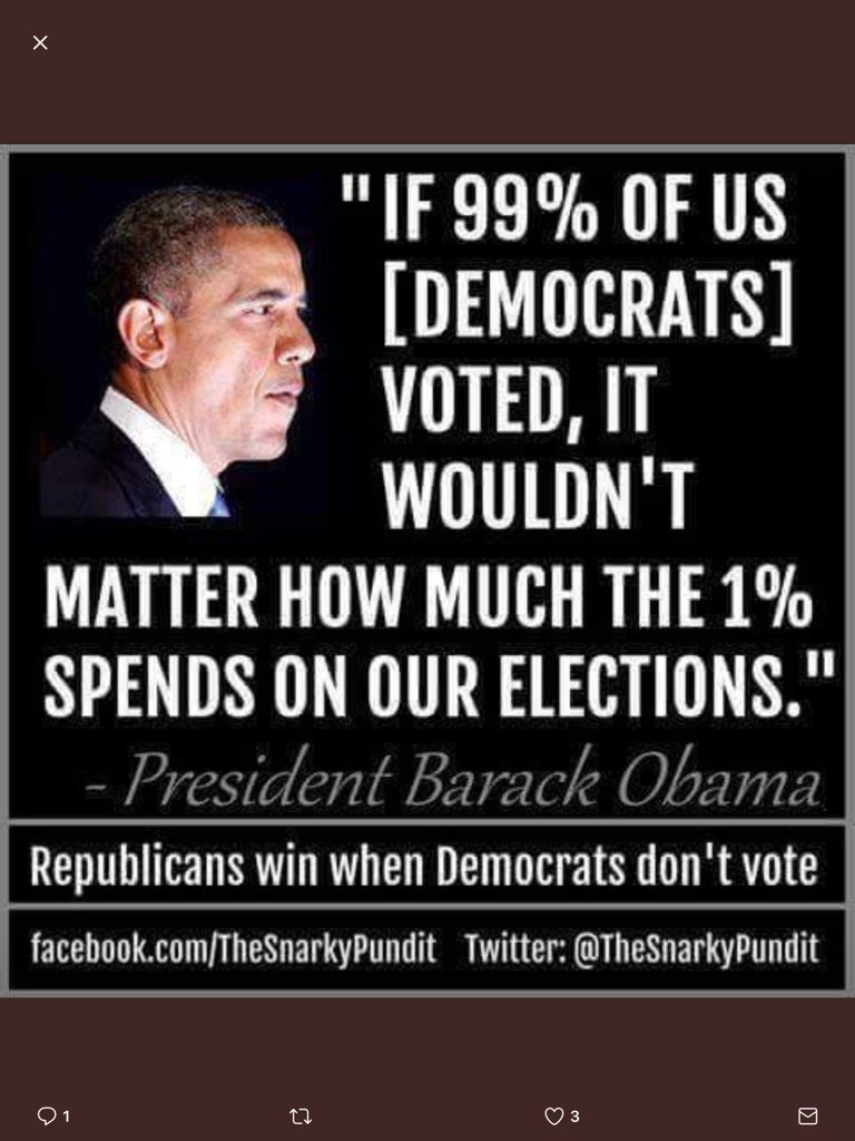 Standup4whatsrt's tweet photo. @melpriceHB @AliAdair22 #TurnoutIsTheKey. Democrats must #SecureTheElectionsNow and protect our right to #VoteByMail. https://t.co/Q8DM1OE5MU